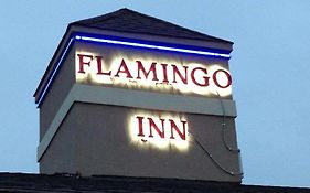 Flamingo Inn